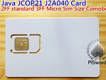 JAVA JOCP21 J2A040 Card 